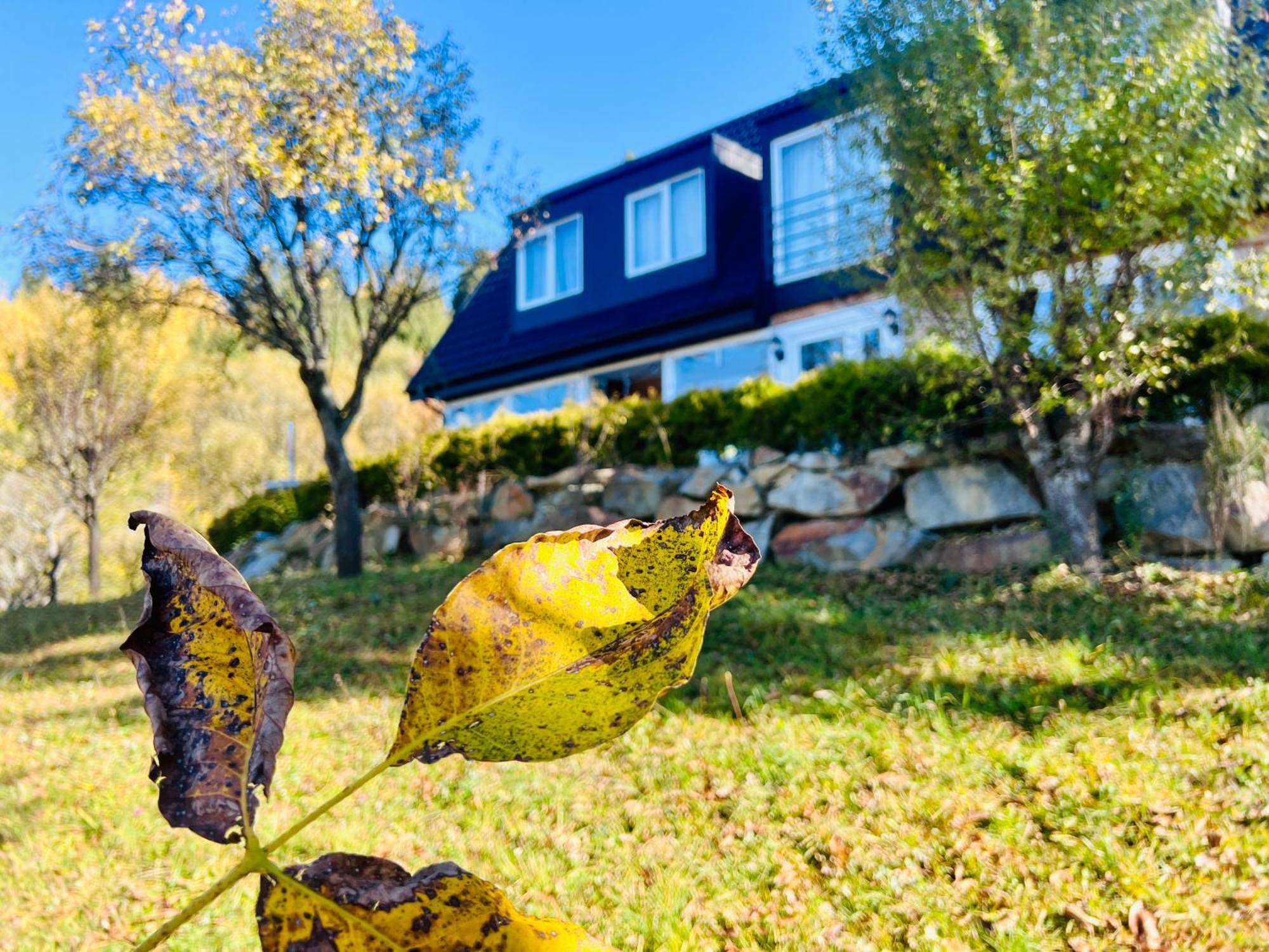 Doinita House Villa Borşa Exterior foto